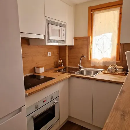 Apartment Esqui Pirineo Aragones El Juncaral Wifi