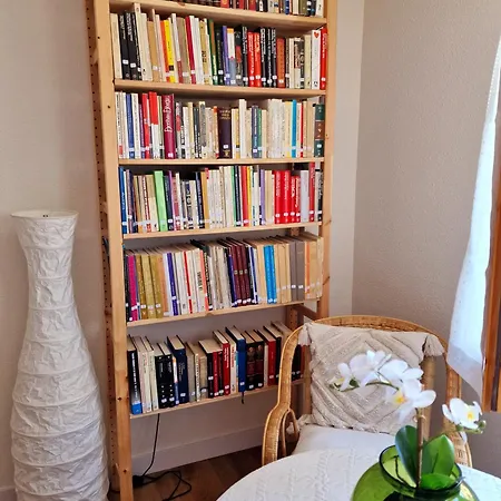 Daire Esqui Pirineo Aragones El Juncaral Wifi *