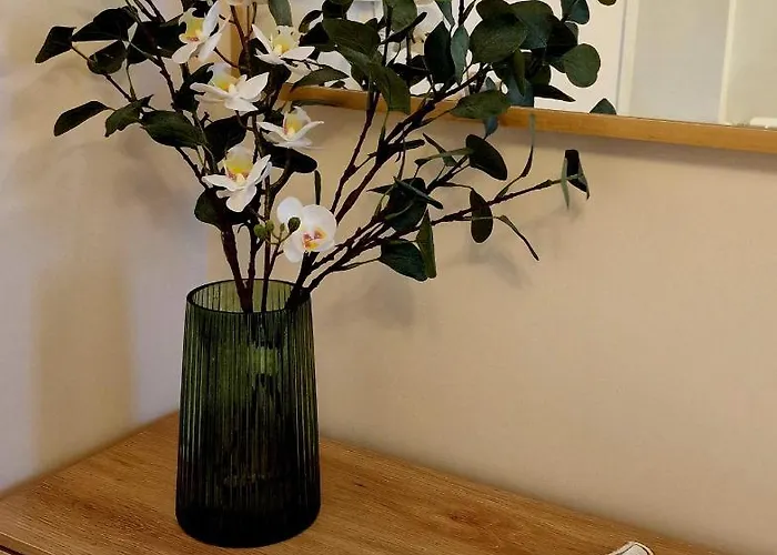 Esquí Pirineo Aragonés El Juncaral Wifi Apartamento Villanúa